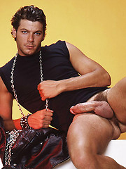 Muscled stud