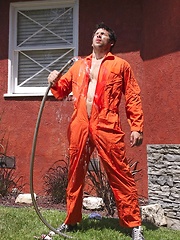 Gay workers have fun in the garden