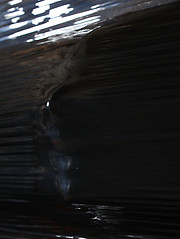 Sexy Max Brown wears black plastic