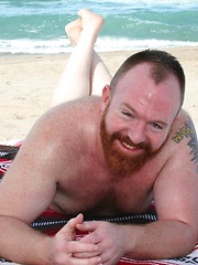  Amazing ginger bear Steve Ellis frolics on the beach