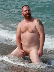  Amazing ginger bear Steve Ellis frolics on the beach
