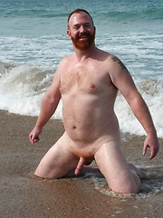  Amazing ginger bear Steve Ellis frolics on the beach