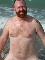  Amazing ginger bear Steve Ellis frolics on the beach