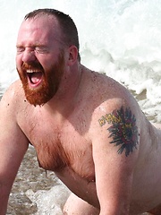  Amazing ginger bear Steve Ellis frolics on the beach
