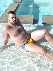 Palm Springs Solo Cub Rex Blue