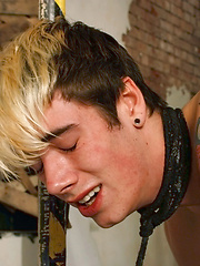 Fucked And Fed Over And Over